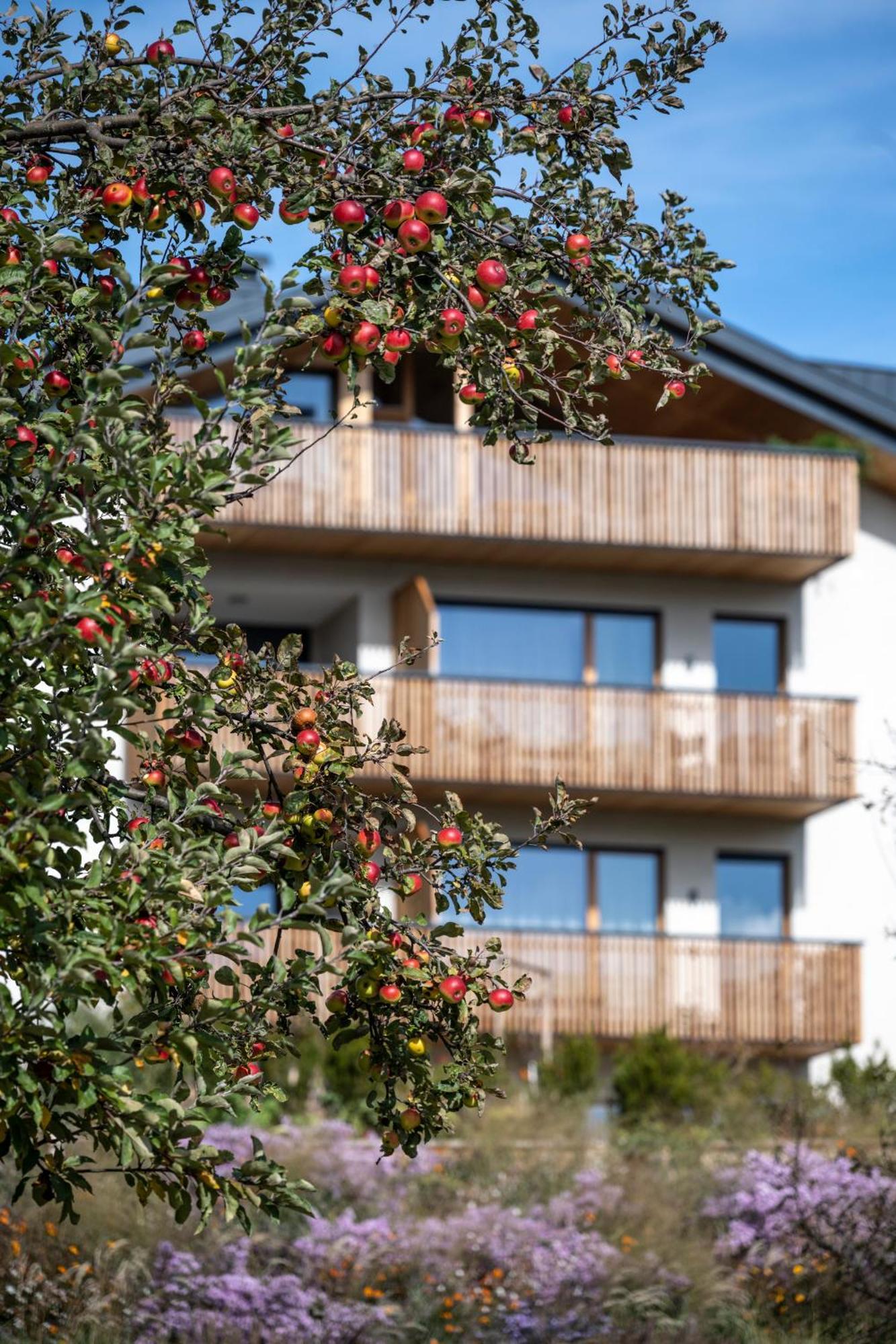 Oberfallerhof Apartment Oi Barbiano  Buitenkant foto